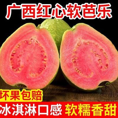 正宗广西红心芭乐心软双拼番石榴脆甜新鲜水果鸡屎冰淇淋批发奶油