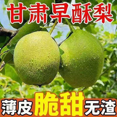 【顺丰现发】正宗甘肃早酥梨当季梨子新鲜水果梨子脆甜薄皮整箱优惠券