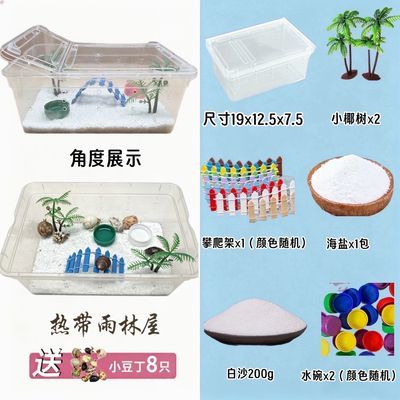 陆生寄居蟹新手全套饲养套装 懒人桌面宠物8只小豆丁 到手直接养