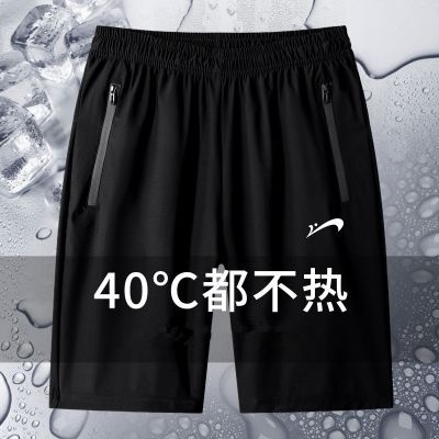 ���ڲ������������˿�̿���2026�ļ�������ʿ�����˶��ٸɿ������������п� 29Ԫ
