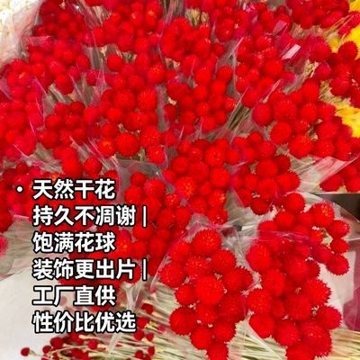 草莓果干花永生千日红真花花束客厅装饰摆件手工diy制作礼物材料