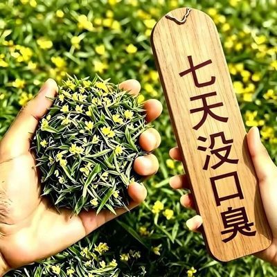 【男女通用】肠胃口腔异味男女口气清茶去肝火胃火旺盛新泡茶
