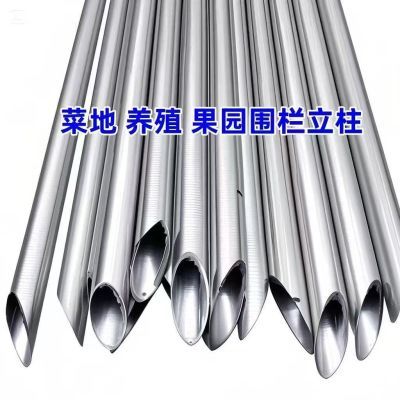 镀锌管加厚钢管尖头圆管网围栏立柱养殖果园菜地围山防锈铁柱批发