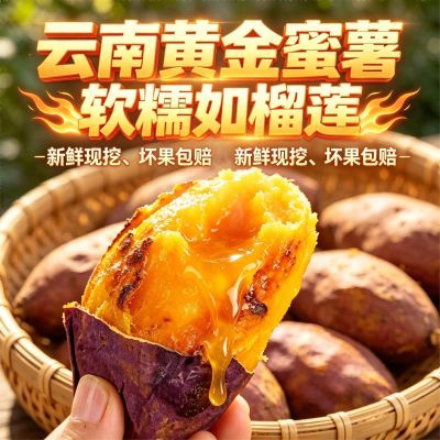 云南建水榴莲蜜薯正宗黄金糖心薯无筋丝烤薯流油精品中小果混 5斤