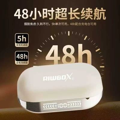 瑞博士蓝牙夹耳式新款入耳式续航二合一超长无线降噪运动高音质