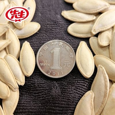 新货新疆生美人甲大颗粒美甲新鲜南瓜子南瓜籽无干燥剂美人甲宠物