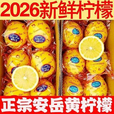 【正宗】四川安岳黄柠檬水果薄皮新鲜批发奶茶当季精选整箱泡水优惠商品图片