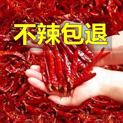 特辣干辣椒干辣椒超辣香辣辣椒晒干红辣椒魔鬼辣整椒家用
