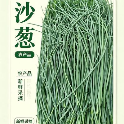 新鲜沙葱民勤产地特产现采新鲜甘肃农家凉拌沙漠蔬菜包赔直发现摘优惠商品图片