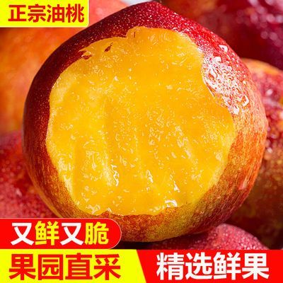 油桃黄心油桃正宗新鲜应季水果现摘鲜桃脆甜桃子黄肉油桃整箱批发