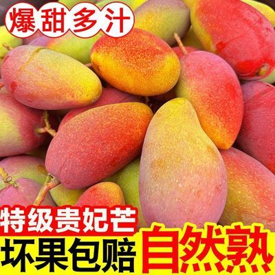 广西正宗贵妃大果当季芒果薄皮水果应季新鲜红金龙辣椒批发甜心