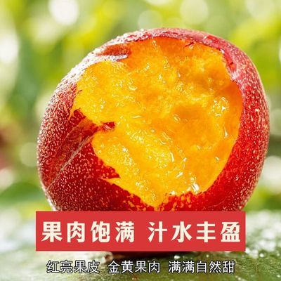 油桃黄心油桃正宗新鲜现摘鲜桃脆甜桃子黄肉油桃整箱批发孕妇黄桃