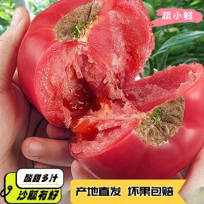 【山东普罗旺斯西红柿】新鲜沙瓤大番茄生吃水果蔬菜粉柿子3斤5斤