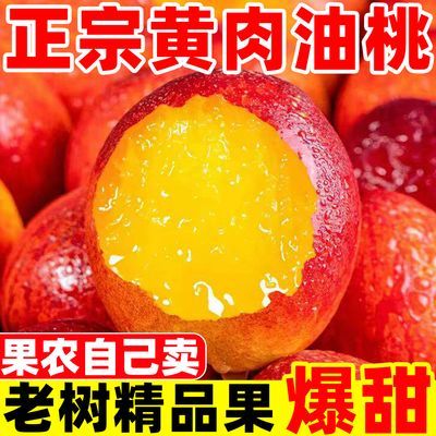 正宗油桃黄心应季头茬黄肉桃子脆甜蜜桃当季新鲜水果整箱脆桃批发