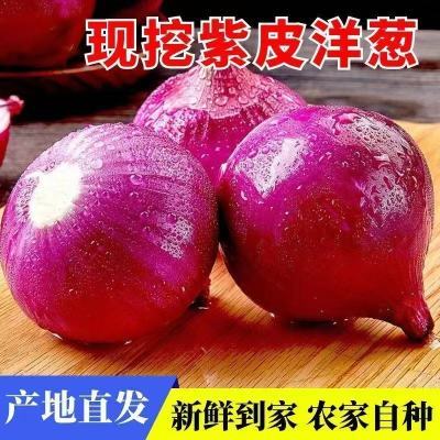 正宗紫皮新鲜现挖多汁葱头水果批发甜脆农家应季自种蔬菜