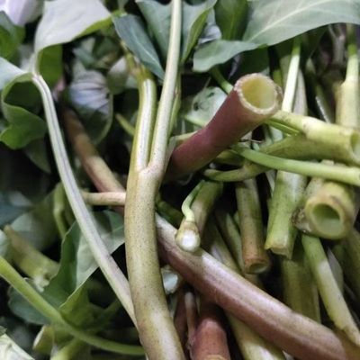 江西永丰空心菜紫红色空心菜蕹菜藤田特产露天种植新鲜当季包邮优惠商品图片