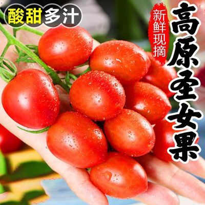 3斤圣女果正宗红色樱桃小番茄新鲜水果批发应季果蔬柿子枣精装发