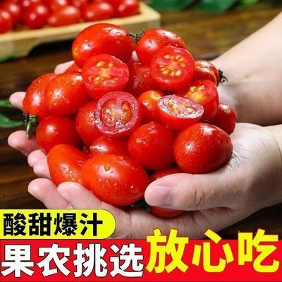 3斤现摘圣女果新鲜小番茄樱桃西红柿红果柿子枣应季蔬菜水果整箱