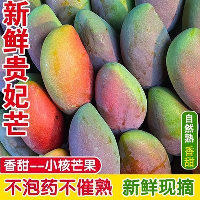 正宗广西百色贵妃芒果大果红金龙芒果应季新鲜水果彩虹薄甜直发