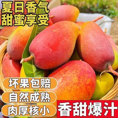 海南正宗贵妃红金龙芒果新鲜薄皮水果甜心孕妇整箱当季批发应季甜