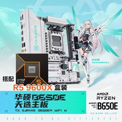 ���ڲ���������˶������TX GAMING B650EM WIFI W��R5 9600X��װ��u��װ 1959Ԫ