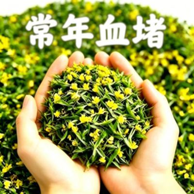 【活血通脉】颈动脉/斑块堵/头晕头疼/清理皿管/腕带/其他/健康