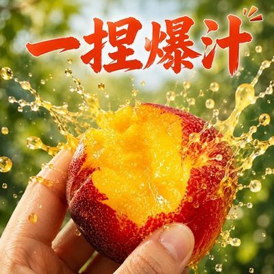山西运城时令油桃黄心油桃正宗新鲜现摘鲜桃桃子黄肉油桃整箱批发
