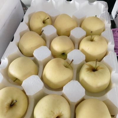辽宁黄元帅苹果 酸甜脆水果 新鲜奶油水果黄香蕉整箱果园粉面水果