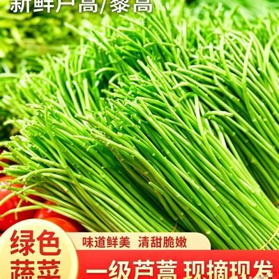 云南新鲜黎蒿芦蒿泥蒿现摘现发当季野菜优惠商品图片