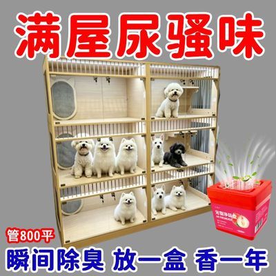 【分解异味】宠物除味魔盒除臭室内去味狗猫去尿骚味宠物异味用品