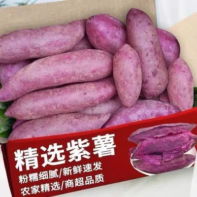 软糯新鲜紫薯紫罗兰现挖正宗沙地番薯香甜红薯蜜薯地瓜板栗蔬菜