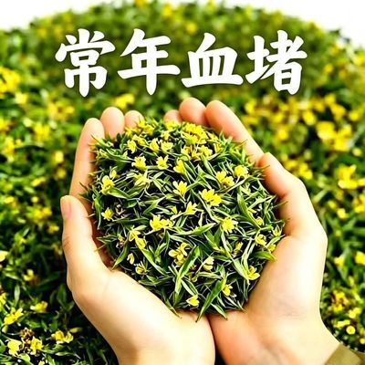 【活血通脉】颈动脉/斑块堵/头晕头疼/清理皿管/腕带/其他/健康