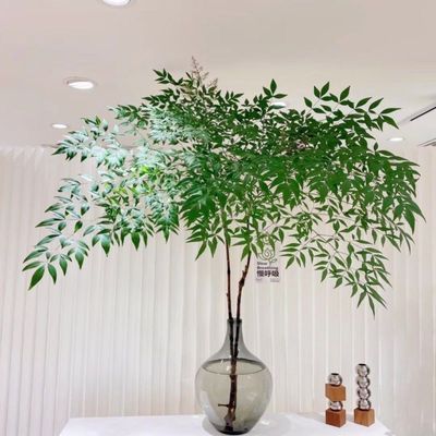 南天竹鲜切 水培北欧风ins吊钟马醉木平替绿植天竺室熊猫仿真绿植优惠商品图片