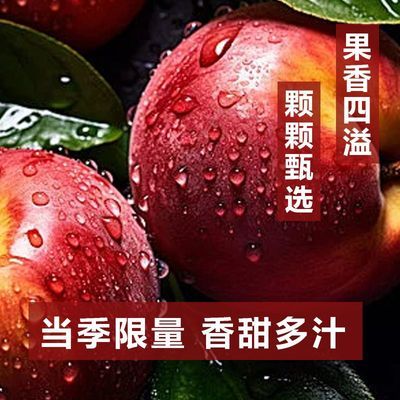 山西运城油桃黄心油桃正宗新鲜桃子黄肉油桃一整箱应季便宜章