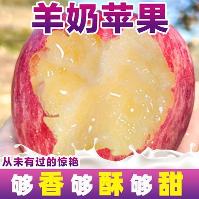 【彩箱】正宗山西羊奶万荣苹果新鲜酥脆红富士应季水果整箱批发