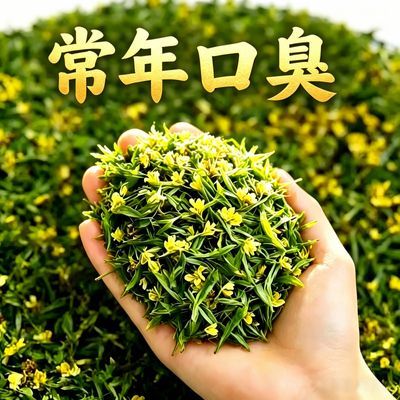 【男女通用】肠胃口腔异味男女口气清茶去肝火胃火旺盛新泡茶