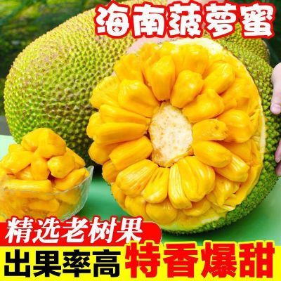 海南三亚菠萝蜜一整个新鲜水果现摘当季木菠萝蜜黄肉干苞批发