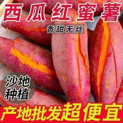 现挖红薯新鲜西瓜红蜜薯香甜无丝地瓜红薯产地直发