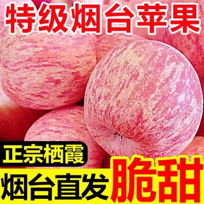 【烟台直发】正宗烟台苹果脆甜栖霞红富士新鲜苹果水果批发一整箱