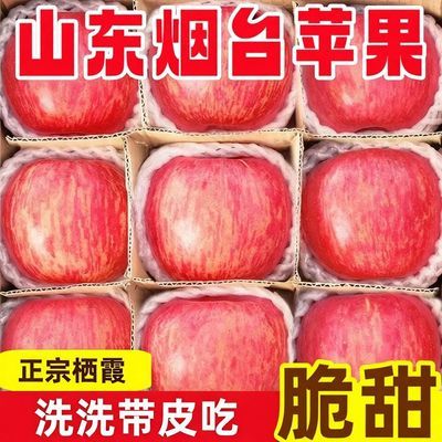 【正宗】山东烟台东红富士苹果当新鲜水果季脆甜冰糖心批发一整箱