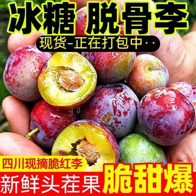 【现发】四川脆红李新鲜水果孕妇水果脱骨李子青红脆李特甜冰糖李