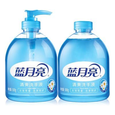 【蓝月亮】芦荟抑菌清香洗手液