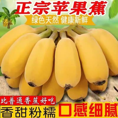 广东正宗苹果粉蕉应季水果新鲜现摘当季香蕉孕妇香甜批发整箱香蕉