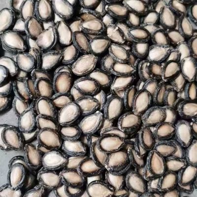 新货生西瓜子原味水洗黑瓜籽精品兰州大板瓜子打瓜子坚果零食批发优惠商品图片