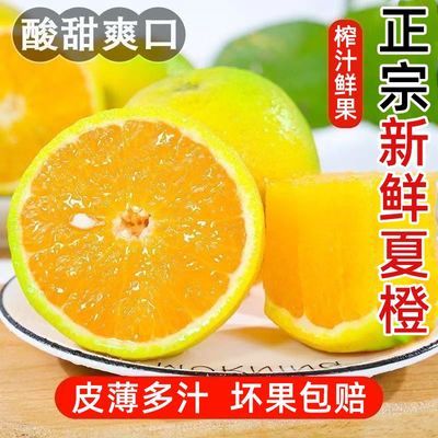 秭归高山夏橙酸甜多汁当季鲜果产地直发水果整箱榨汁摆摊批发夏橙优惠商品图片