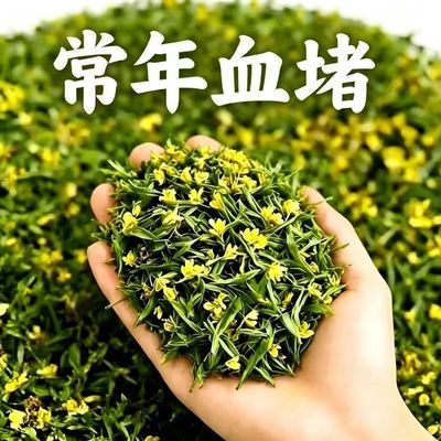 【血液浓稠】颈动脉/斑块堵/头晕头疼/清理皿管/腕带/其他/健康