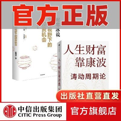 套装2册】全球视野下的投资机会+人生财富靠康波 黄金白银新能源