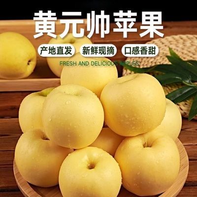 辽宁黄元帅苹果 酸甜脆水果 新鲜水果粉面奶油黄香蕉当季脆甜整箱