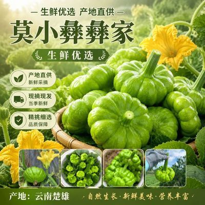 姜柄瓜莫小彝家小麦瓜小嫩南瓜甜面姜柄瓜优惠商品图片