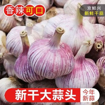 【新店冲量】干大蒜净蒜头26年新晒大蒜头优质大蒜头